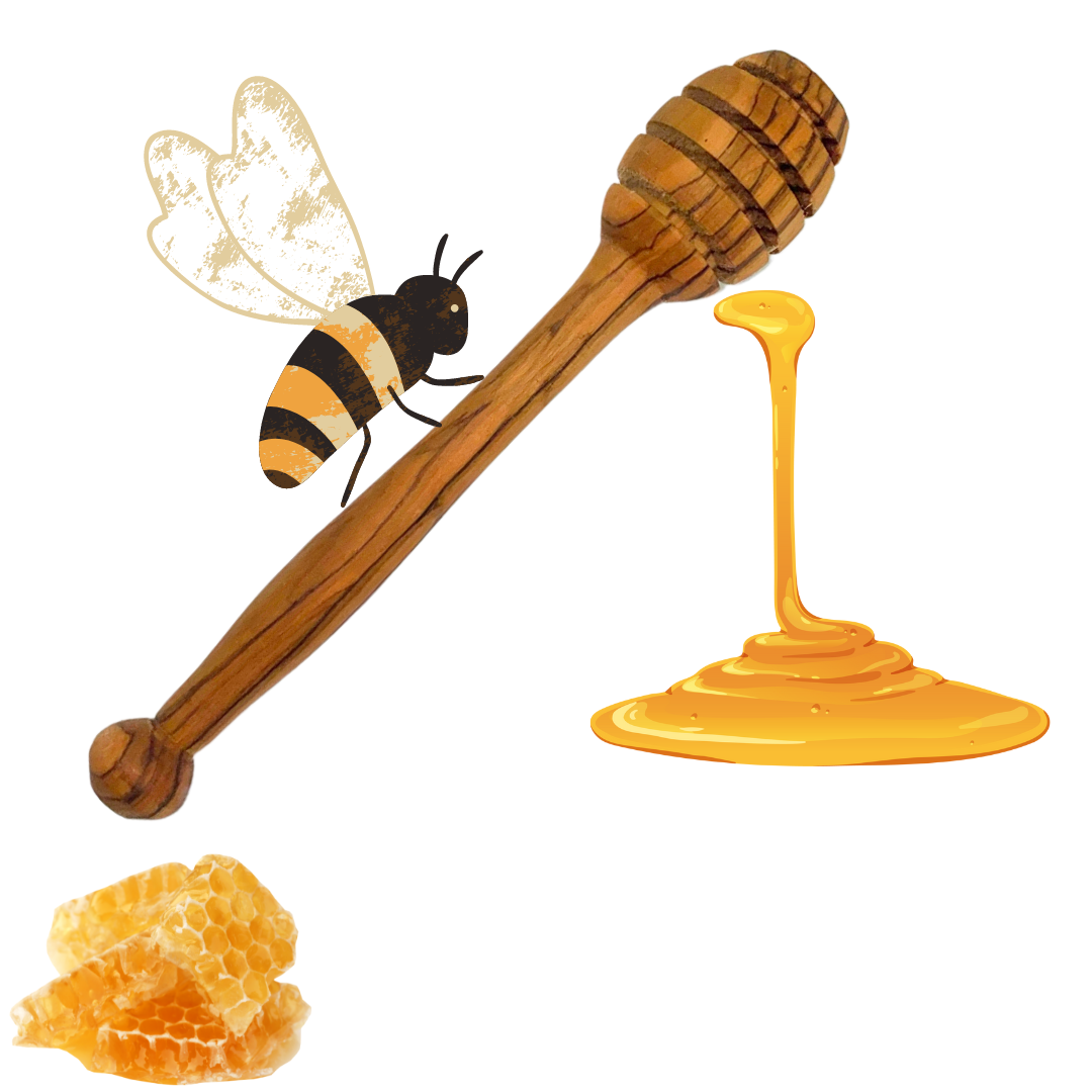 Cuillère à miel en bois naturel - Accessoires - L'île enSanté